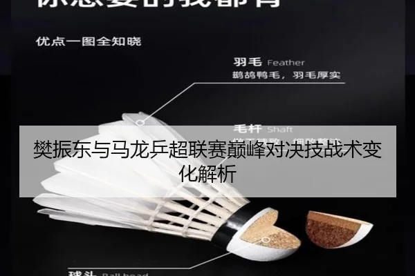 樊振东与马龙乒超联赛巅峰对决技战术变化解析